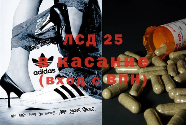 2c-b Каменка