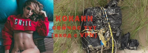 СК Каменногорск