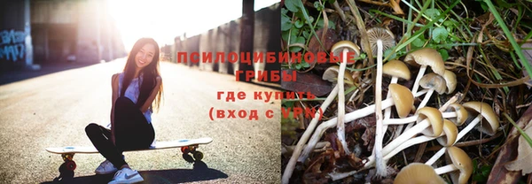 2c-b Каменка