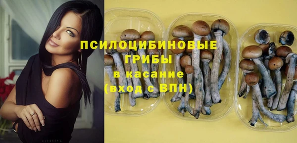 2c-b Каменка