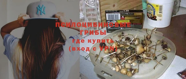 СК Каменногорск