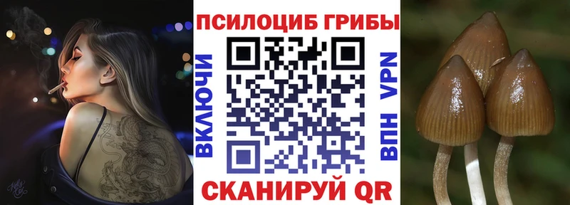 Галлюциногенные грибы прущие грибы  Купить  Тихорецк 